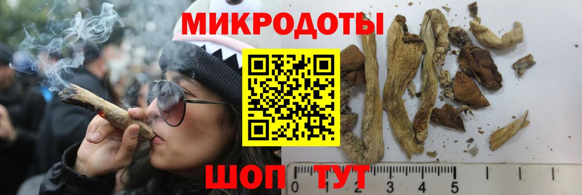 Псилоцибиновые грибы прущие грибы Армавир